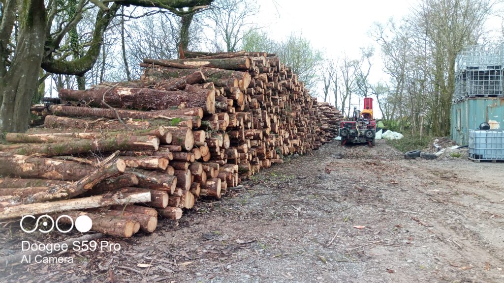 Firewood stock